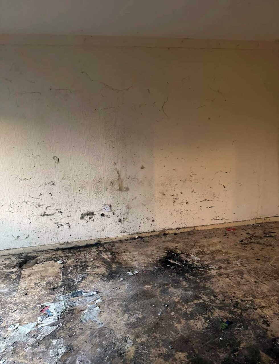 S1 Project Property development HMO North West