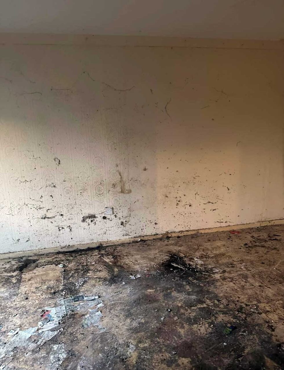 S1 Project Property development HMO North West